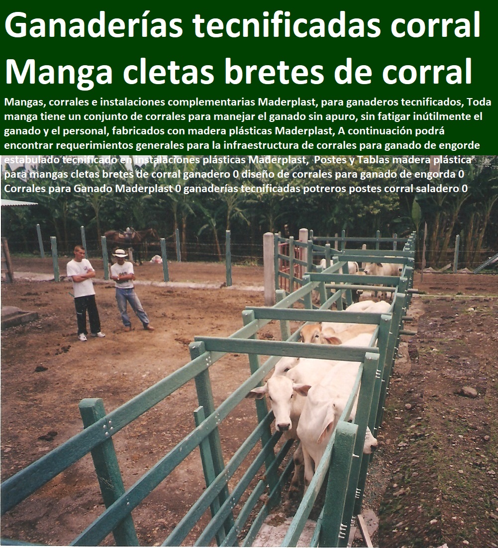 Manga Embudos Apretaderos Calcetas Maderplast Corral de trabajo ganadero 0 Diseño de Corrales Para Ganado Estabulado 0 Tecnología en la Ganadería 0 Bebederos Para Vacas de Cemento 0 Diseño de Corrales Para Ganado Estabulado mangas Manga Embudos Apretaderos Calcetas Maderplast Corral de trabajo ganadero 0 Diseño de Corrales Para Ganado Estabulado 0 Sistemas de Pastoreo, Estabulación de Ganado, Pastoreo Intensivo, Establos, Corrales, Saladeros, Comederos, Cerramientos, Postes, Ganaderías Tecnificadas, Ganaderías Tecnificadas, Explotación Ganadera Automatizada, Tecnología en la Ganadería 0 Bebederos Para Vacas de Cemento 0 Diseño de Corrales Para Ganado Estabulado mangas